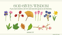 Digital product - PROMISES OF GOD X 12