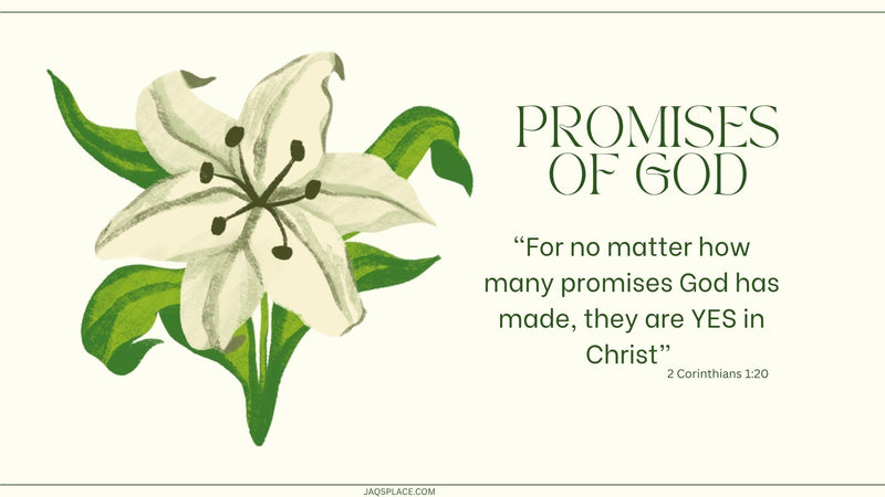 Digital product - PROMISES OF GOD X 12